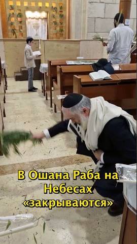 Ошана Раба - последний день праздника Суккот  #иудаизм