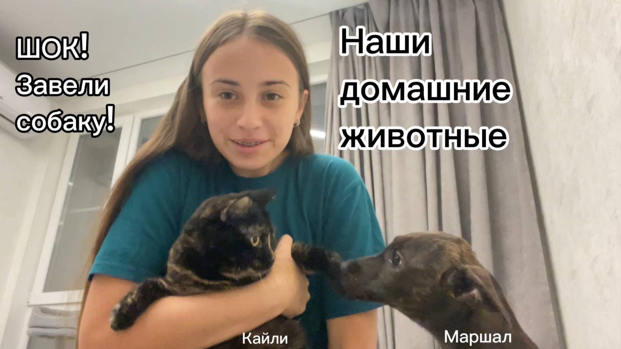 Мы завели собаку!!!