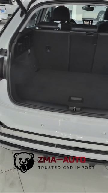 Audi Q2L 35TFSI 2021