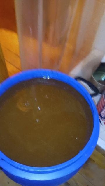 Постановка сахарной браги из квази-рома