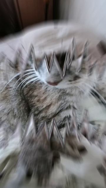 👉👈