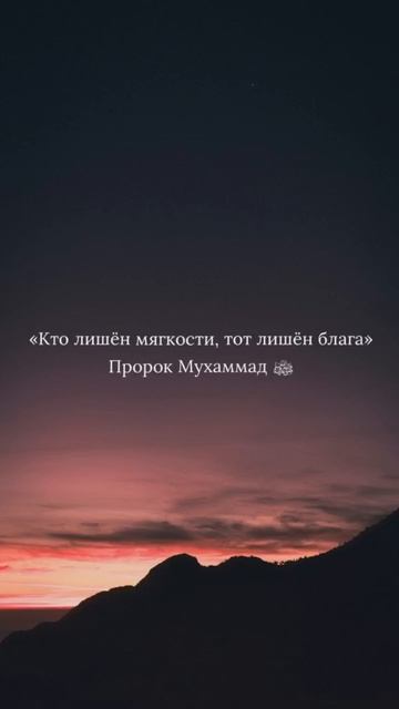 Хадис: Кто лишён мягкости  тот лишён блага. Шейх Шамиль аш-Шафиий.