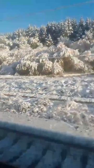 СОВСЕМ СКОРО, МЫ УВИДИМ ТАКОЕ ЗА ОКНАМИ🥶ЗНАЧИТ ПРОДОЛЖАЕМ ТОПИТЬ  ЦЕНЫ🔊🫠