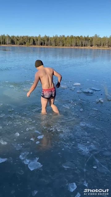 Моржи Муравленко