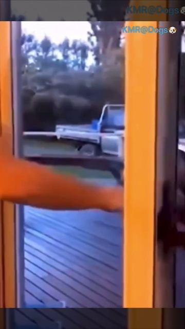 Раздражитель сотого уровня