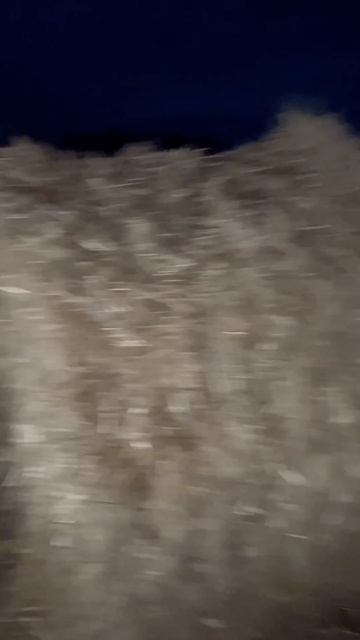 2025-10-13