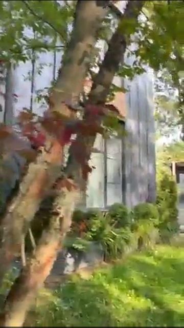 Видео WhatsApp 2024-11-12 в 13.15.39_67a86e67