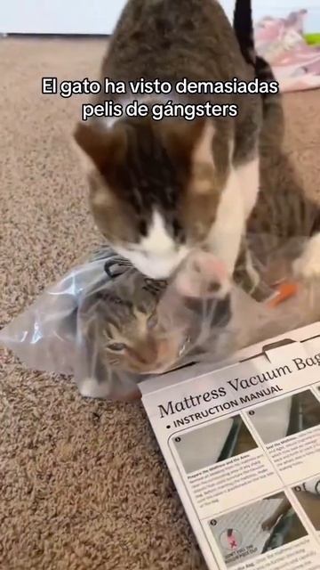 Насмотрелся гангстерских фильмов