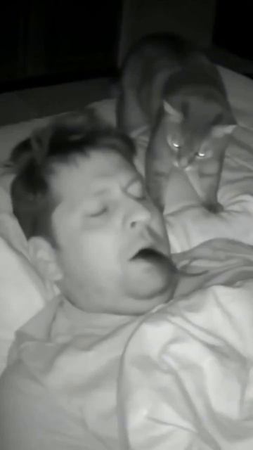 Какие же котики заботливые 🥰