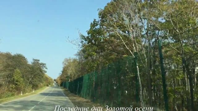 Последние дни осени
