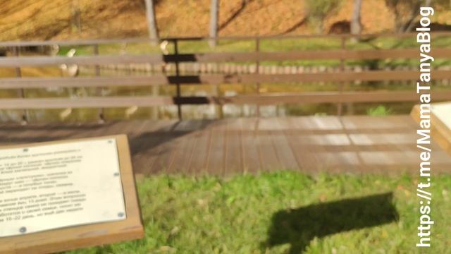 Варшавские пруды