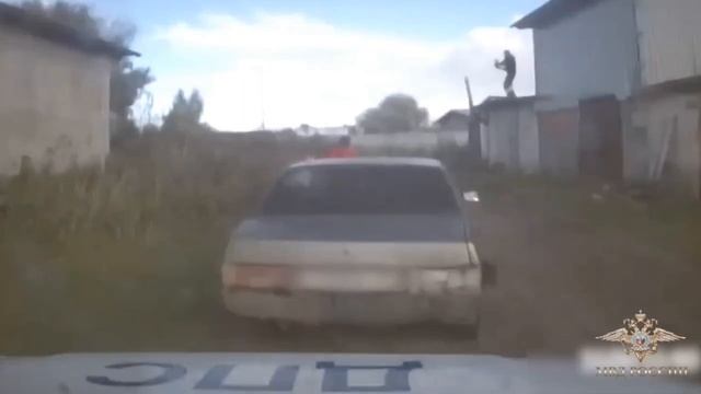 МЕТАТЕЛЬ