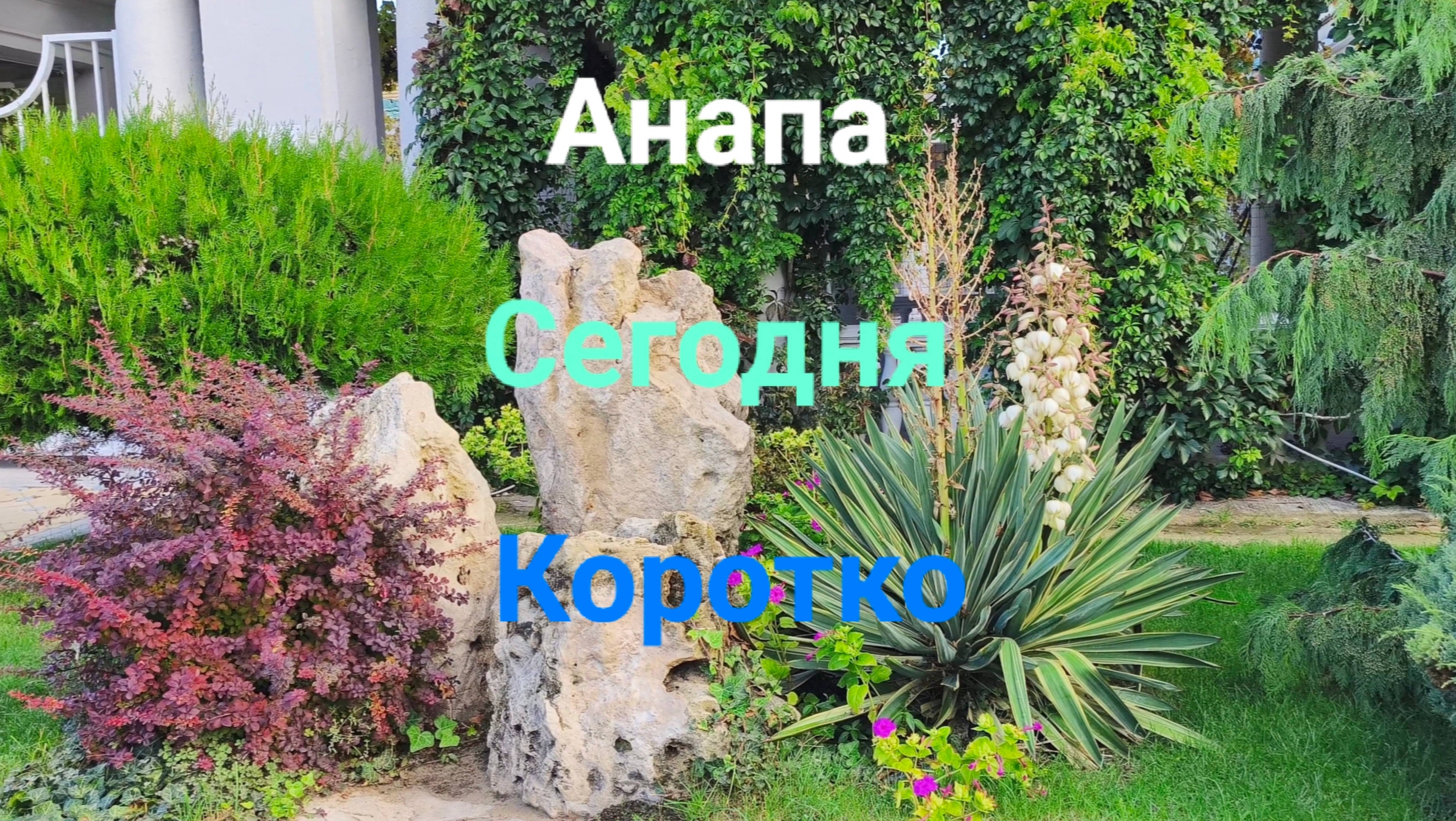 Анапа Сегодня Коротко 13.10.2025