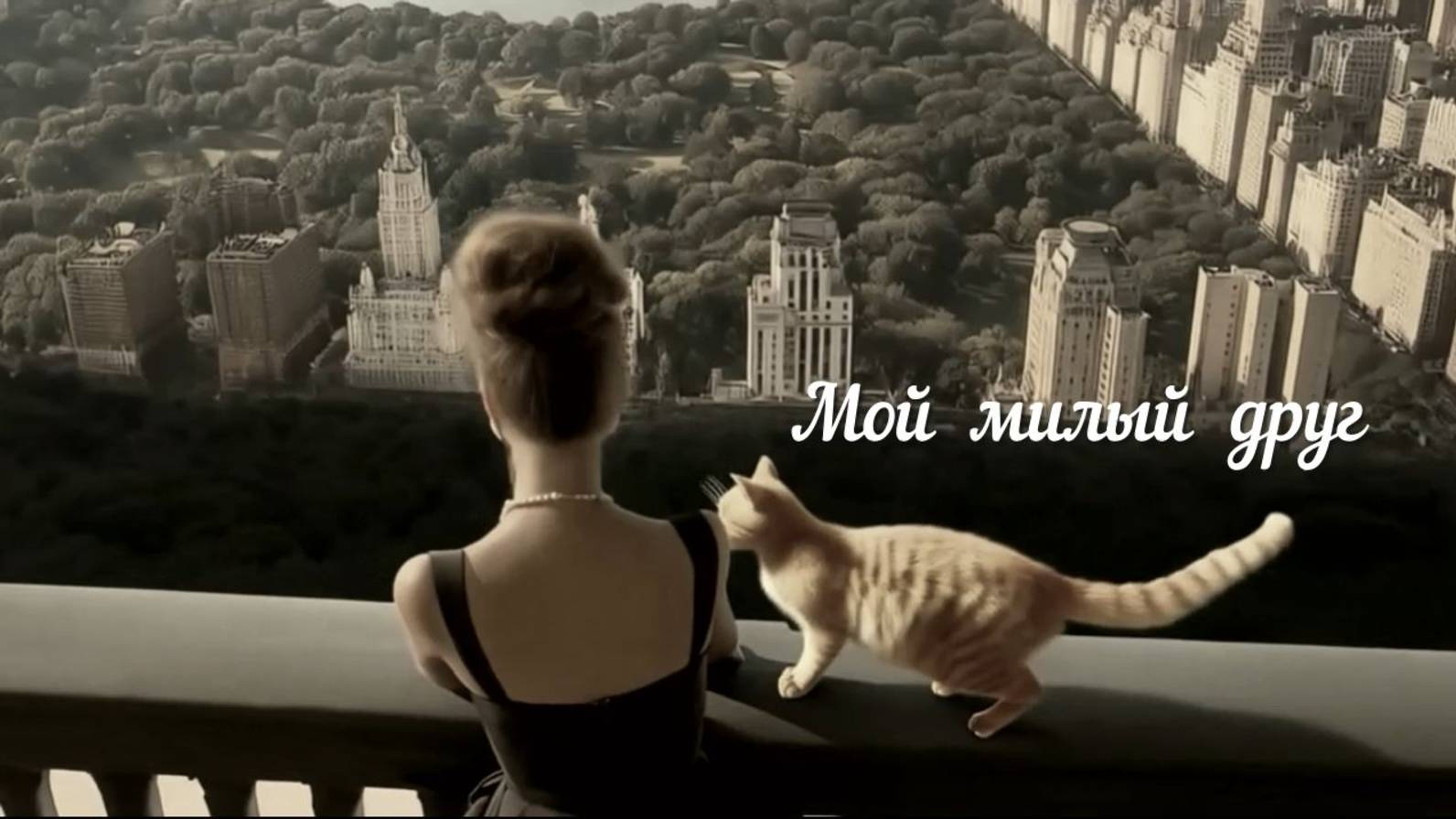 Мой милый друг