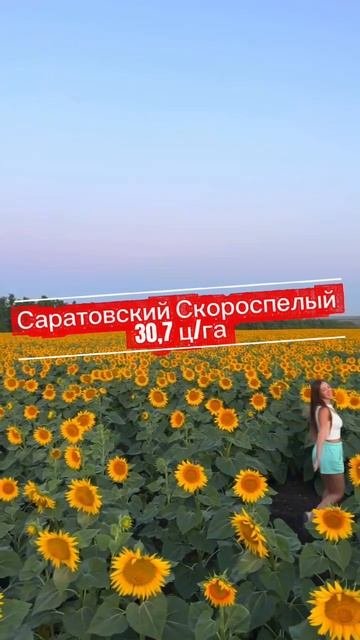Семена гибриды подсолнечника
НОВИНКА 
*Скороспелый 88 Элита*
🌻5 рас заразихи+ устойчивость к жаре