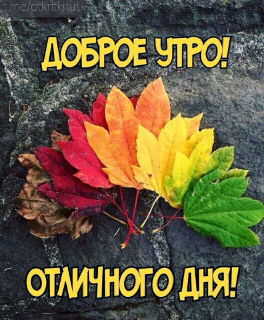 Астровстречи..