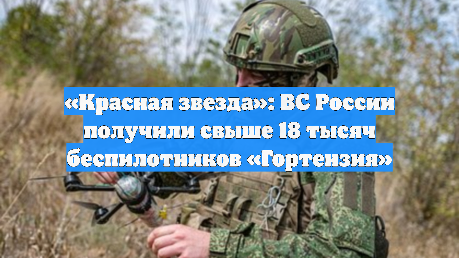 Красная звезда: ВС России получили свыше 18 тысяч беспилотников Гортензия