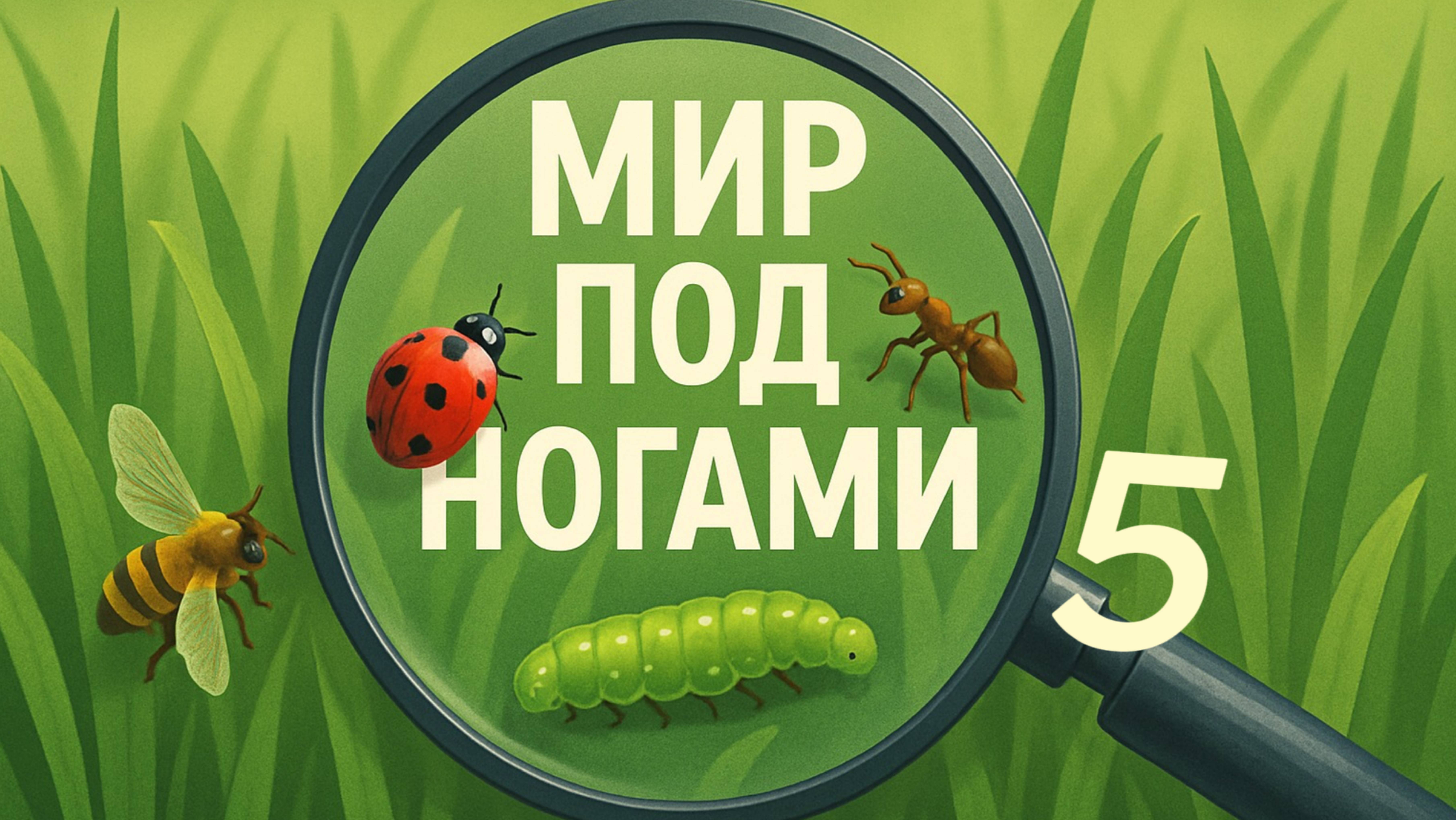 Мир под ногами, выпуск №5