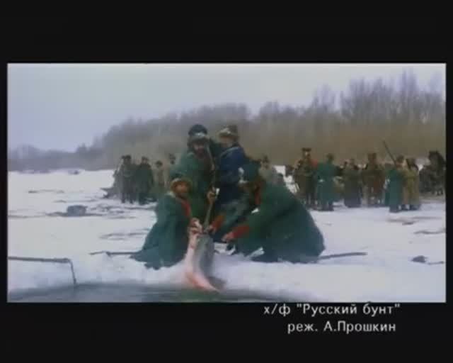 Как в старину на реке Урал багрили в зимовальных ямах представителей сем. Осетровые — Acipenseridae?