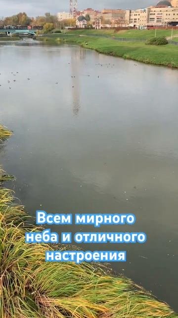 Всем!