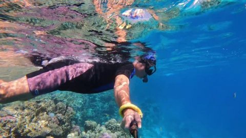 часть 6 Риф с рыбками у отеля шарм эль шейх .