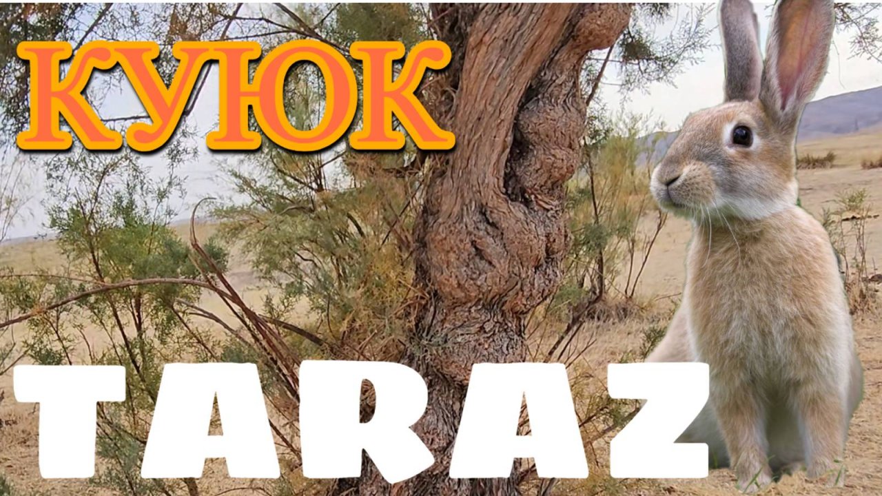 Прогулка на природу