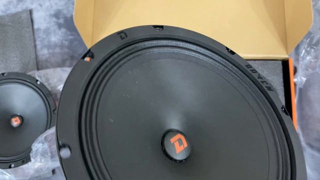 Обзор DL Audio Raven 200 v.2