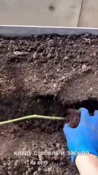 Что значит посадка «ЛЕЖА»