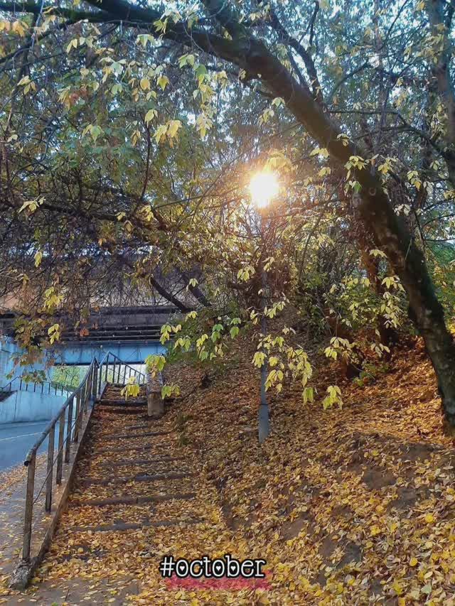 October🍁🍂
