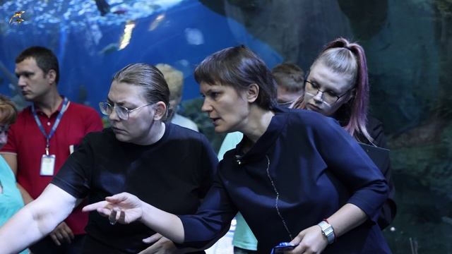 ОкеанариУМные решения