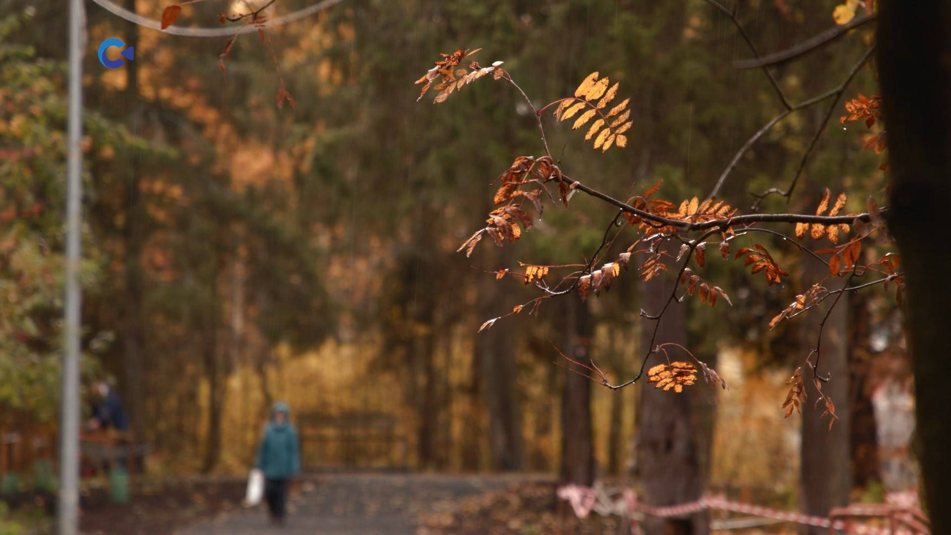 В Петрозаводске завершают благоустройство парка Беличий остров