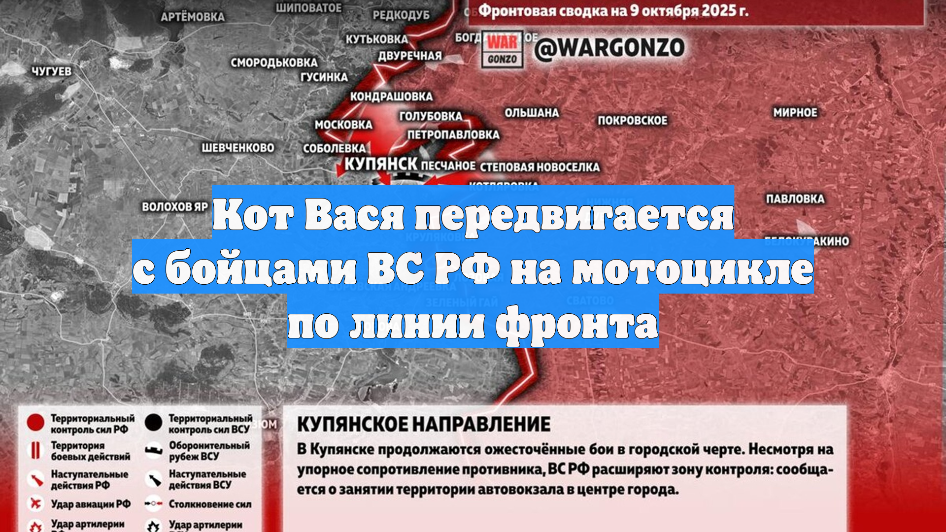 Кот Вася передвигается с бойцами ВС РФ на мотоцикле по линии фронта