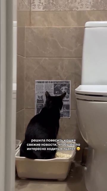 Теперь какаем с новостями