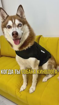 Не слушайте никого ✅