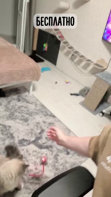 🔥 НейроПазл БЕСПЛАТНО!