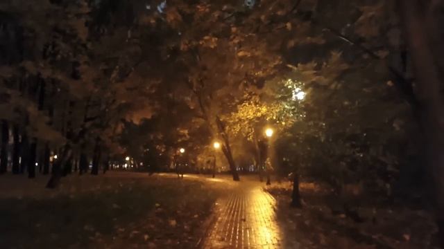 Отпуск в Москве. День шестнадцатый. Вечер. 14 октября 2025 года.