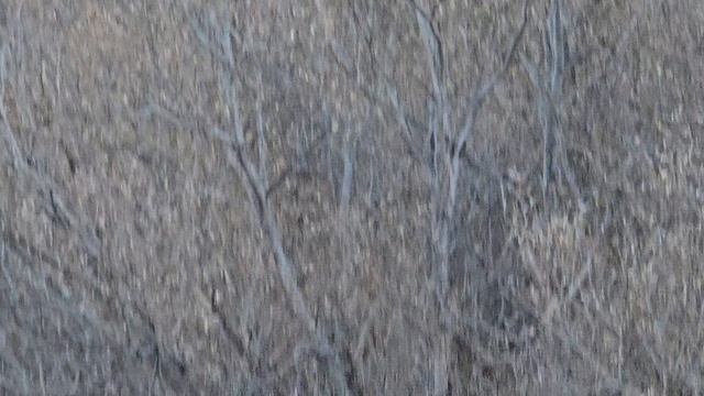 Акушинсий район с Семга. 1000005719.mp4