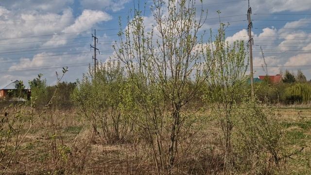 З/у с к.н. 50:28:0050312:799, расположенный по адресу: МО, г. о. Домодедово, д. Кучино