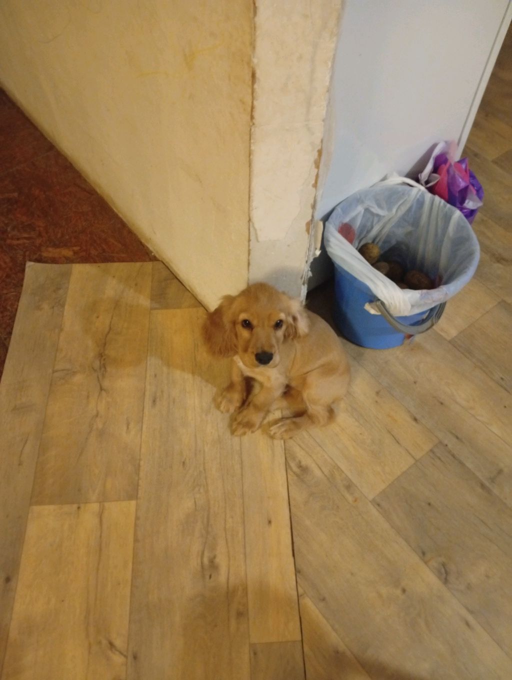 учу литературу а потом уже и остальные уроки