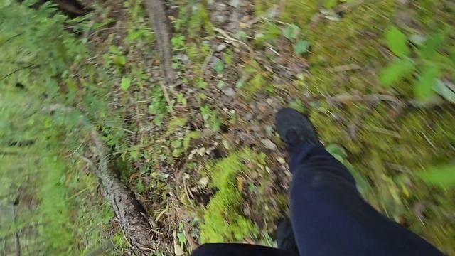 Акушинский лес, лагерь. 1000153812.mp4