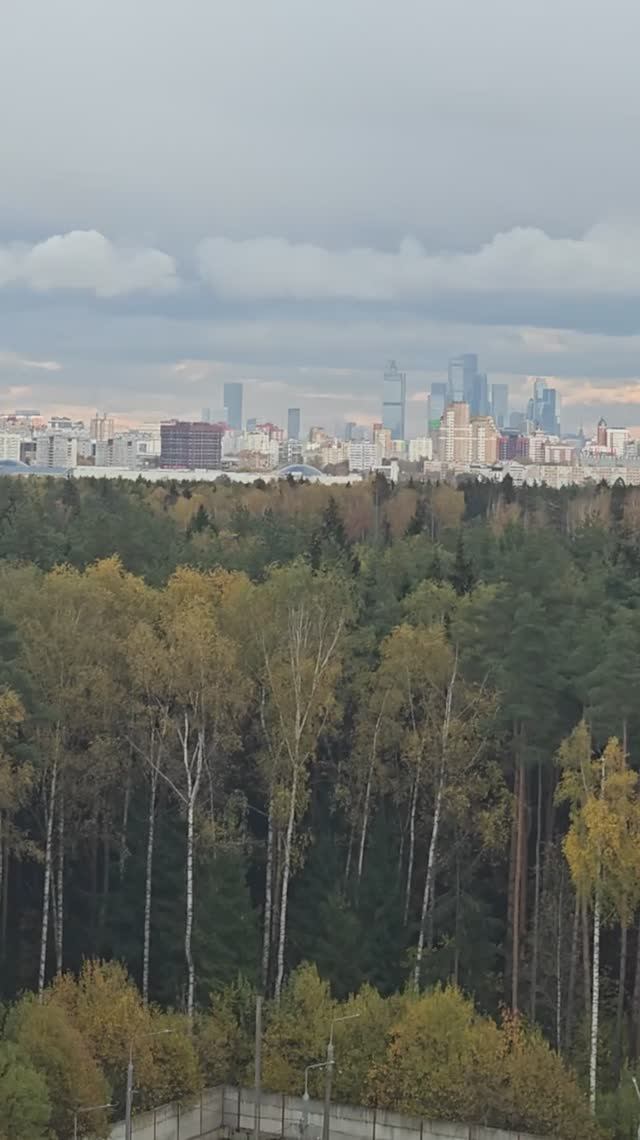 видовая е3 Трёхгорка, ул.Кутузовская, 33