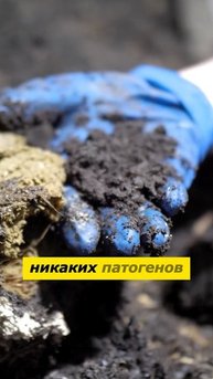 Как создаётся вермикомпост: технология, чистота и польза для почвы