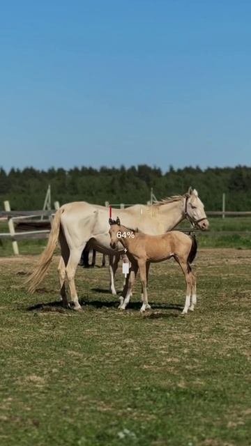 💚 СКИДКА 30% НА ПРОЖИВАНИЕ ЗА ГОРОДОМ