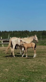 💚 СКИДКА 30% НА ПРОЖИВАНИЕ ЗА ГОРОДОМ