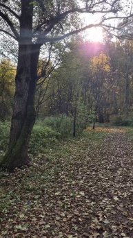 ЛК-225_Репина А.А Day of my life