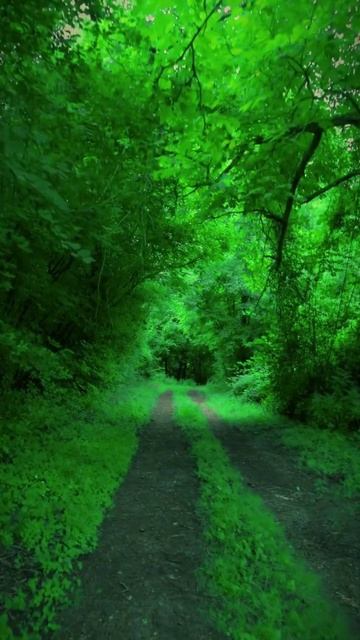 Граница между сном и реальностью