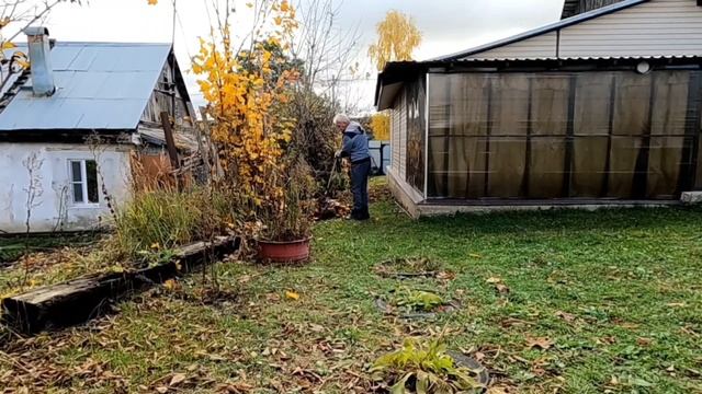 Ужасный Медицинский центр ДОКТОР К Калуга. Домашние Заботы!