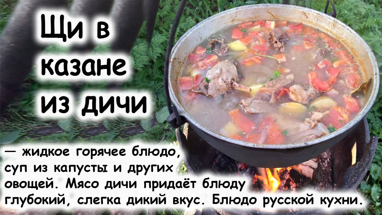 Щи из дичи