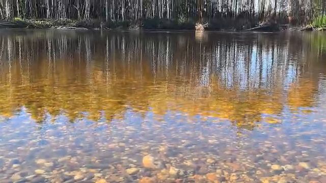Чистейшая вода в Норском заповеднике