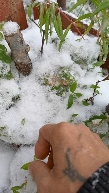 Эксперимент